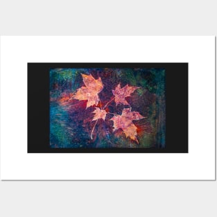 Autumn leaves cyanotype with rain drops 1 Posters and Art